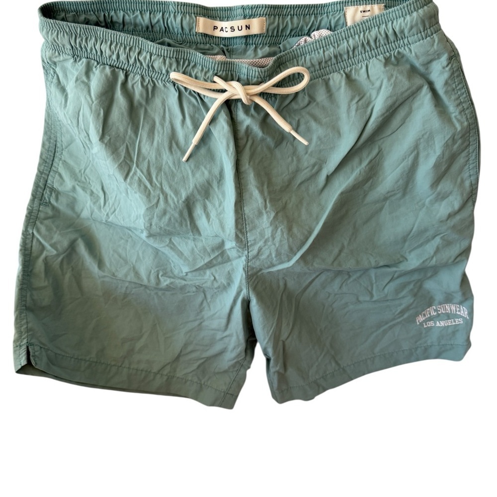 PacSun Teal Casual Shorts 1152